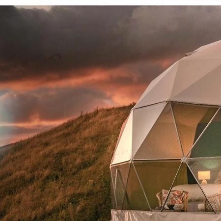 Caravans Park & Glamping Tents In The Vineyard Villa Turda Esterno foto