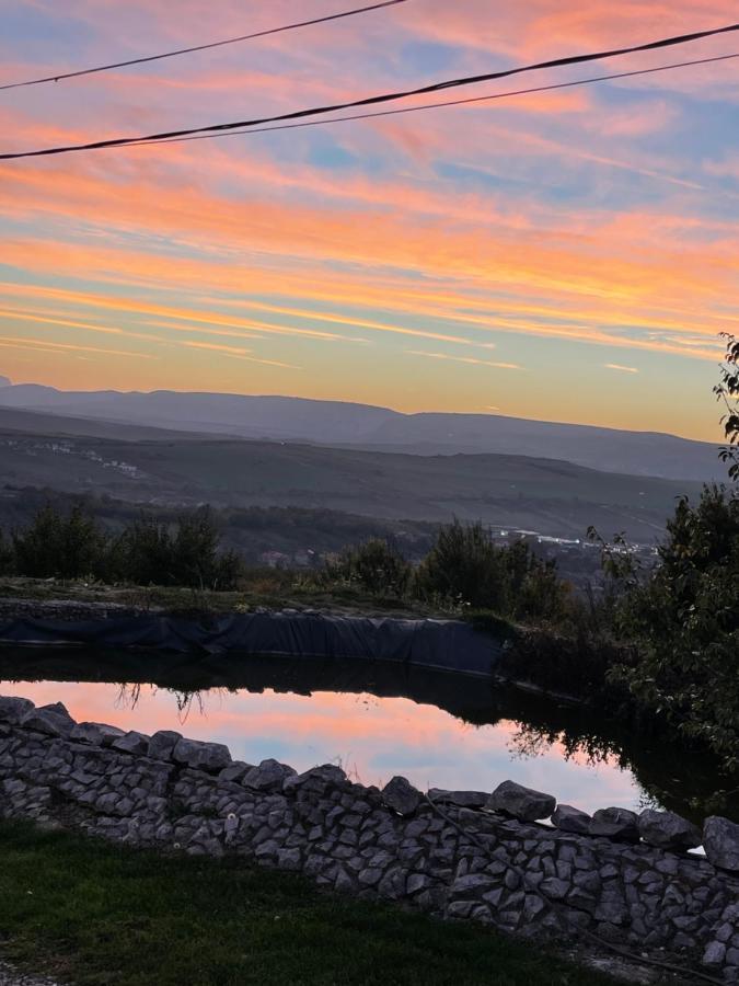 Caravans Park & Glamping Tents In The Vineyard Villa Turda Esterno foto