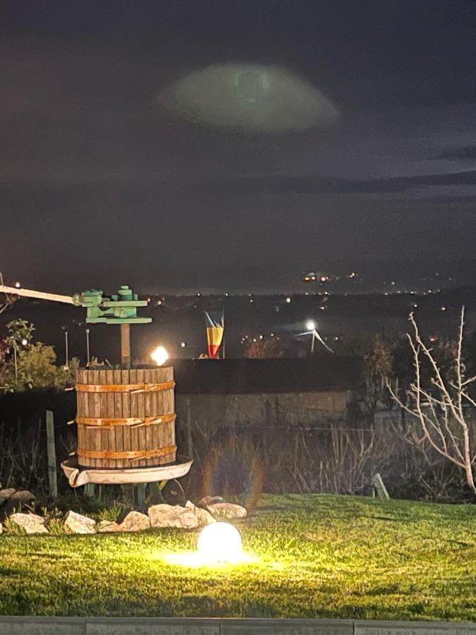 Caravans Park & Glamping Tents In The Vineyard Villa Turda Esterno foto