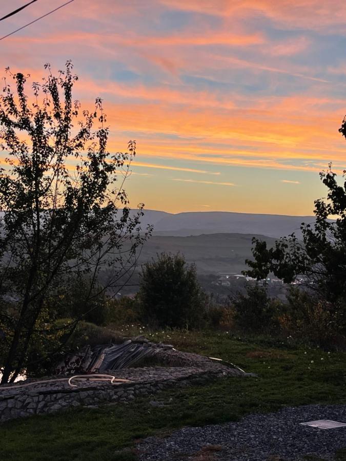 Caravans Park & Glamping Tents In The Vineyard Villa Turda Esterno foto