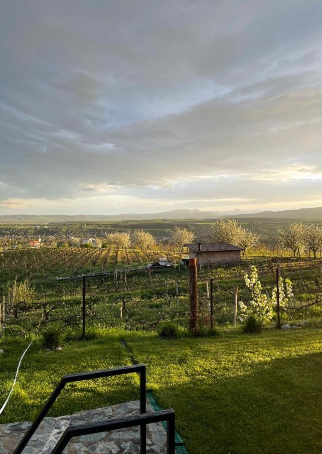 Caravans Park & Glamping Tents In The Vineyard Villa Turda Esterno foto
