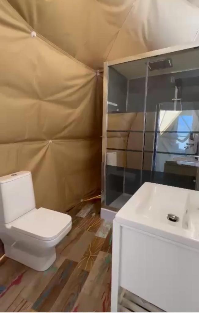 Caravans Park & Glamping Tents In The Vineyard Villa Turda Esterno foto