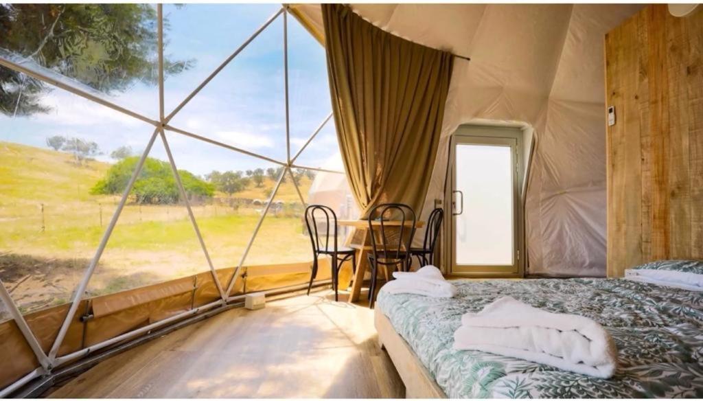 Caravans Park & Glamping Tents In The Vineyard Villa Turda Esterno foto