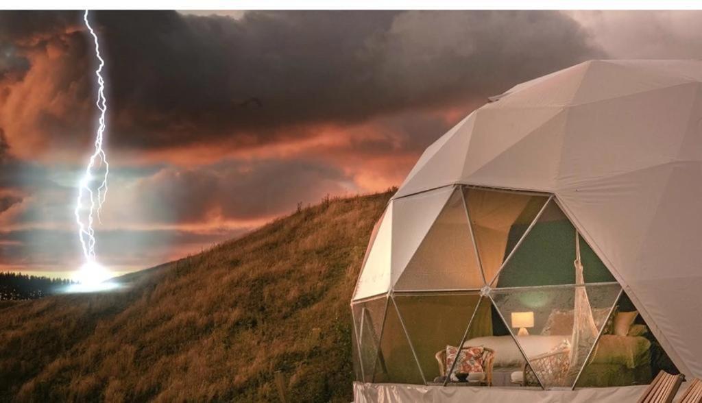 Caravans Park & Glamping Tents In The Vineyard Villa Turda Esterno foto